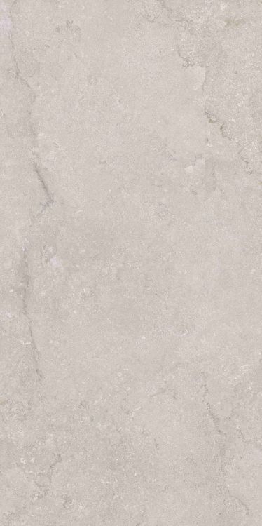 OL Port Land Stone Greige Matte 24 x 48